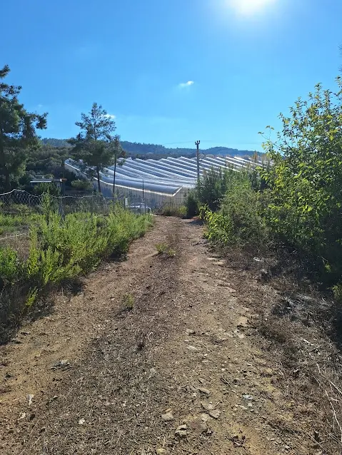 Acil Satılık Tarla - Alanya Aytemiz Tesisleri Yakını-Hocalar Mh.